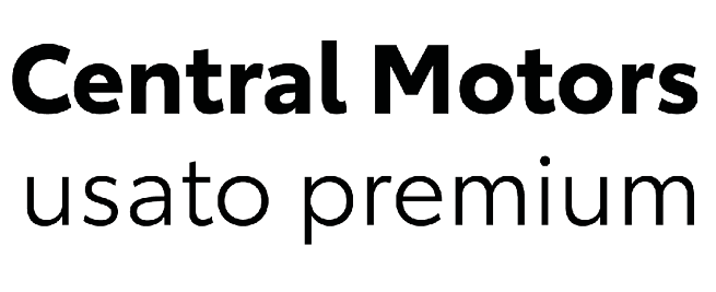 logo Usato Premium