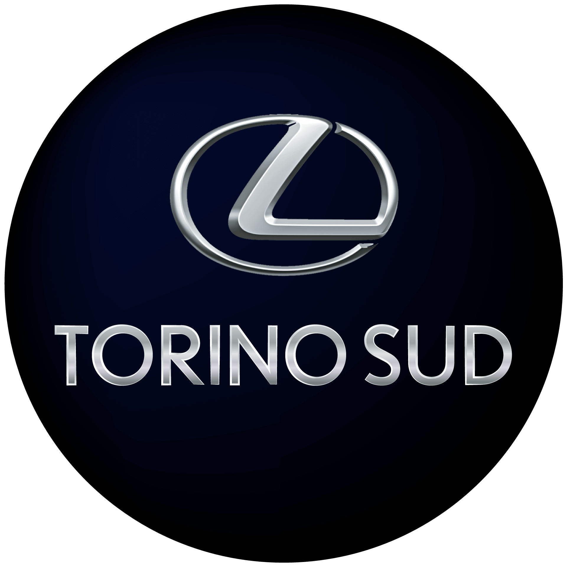 lexus torino sud